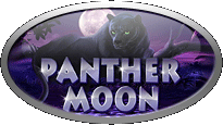 Играть бесплатно в игровые автоматы Panther Moon