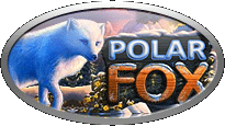 Играть бесплатно в игровые автоматы Polar Fox